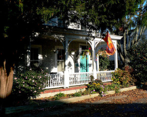 House mounted flag