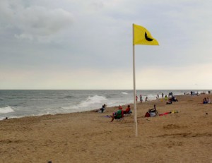 Yellow flag plus black ball means no surfing. (Author's photo)