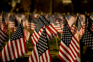 Small flags cover the Mall in Washington, D.C. (wikipedia.org)