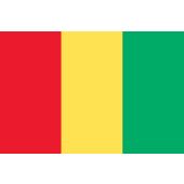 Guinea Flag