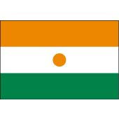 Niger Flag