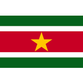 Suriname Flag