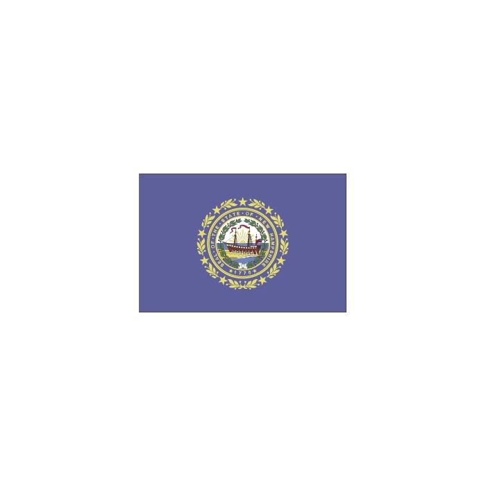 New Hampshire Flag, Nylon, Header & Grommets - 2x3'
