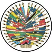 OAS 35 Member Stick Flag Set - 4x6"