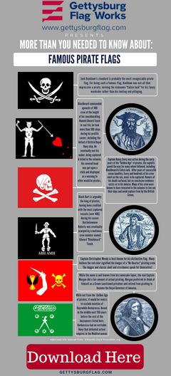 Pirate Flags Infographic